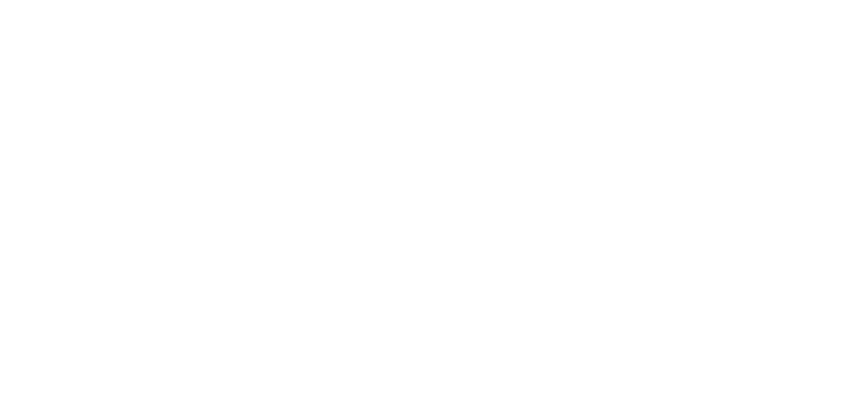 Air Moldova Logo: the universal guide to the airline