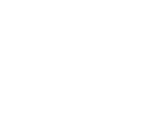 Flight deals (Icelandair Logo)