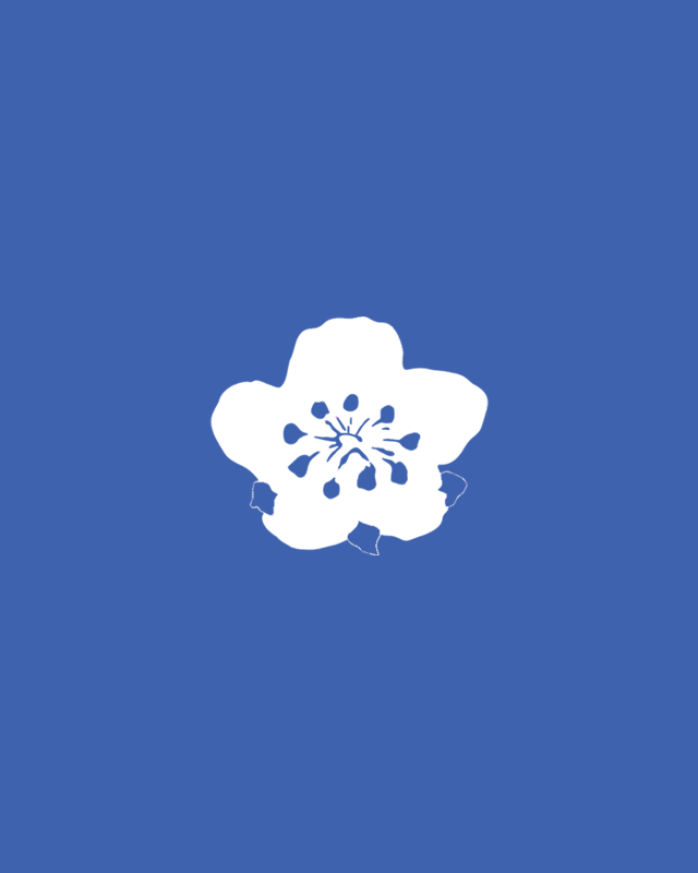 China Airlines sales and promotions